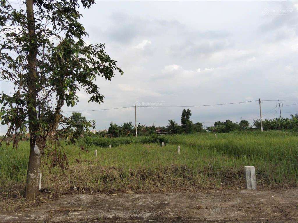 Bán gấp 85m2 đất kdc sau công an huyện cần đước