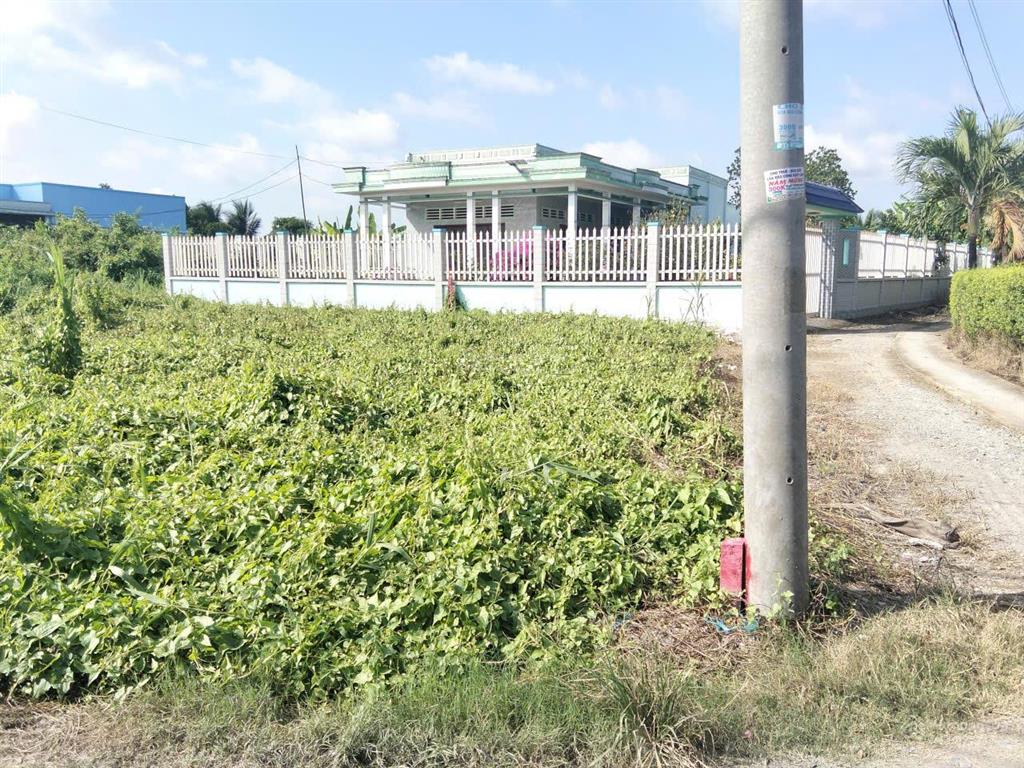 Cần xoay vốn gấp, chủ bán rẻ 153m2 đất thổ cư đường ô tô tại tân lân giá 640 triệu