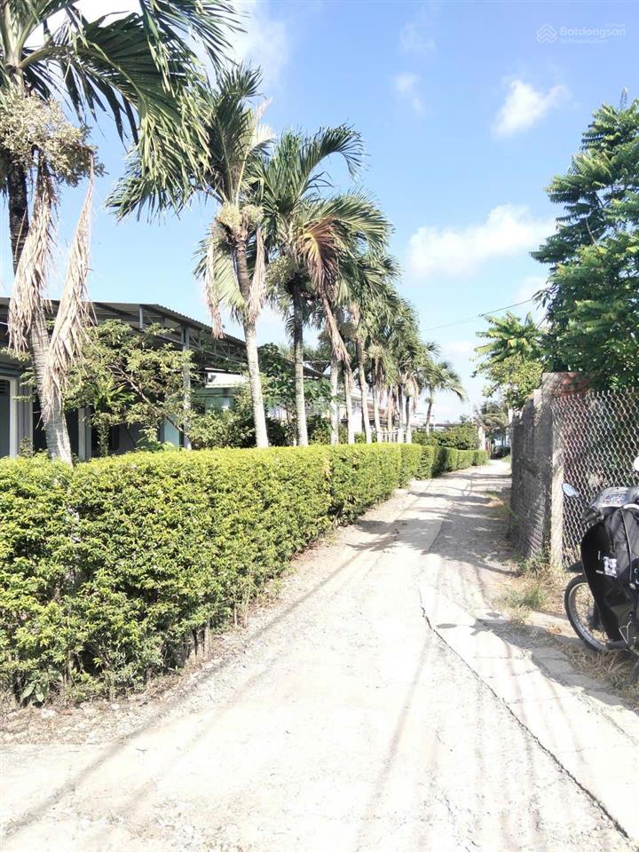 Cần xoay vốn gấp, chủ bán rẻ 153m2 đất thổ cư đường ô tô tại tân lân giá 640 triệu