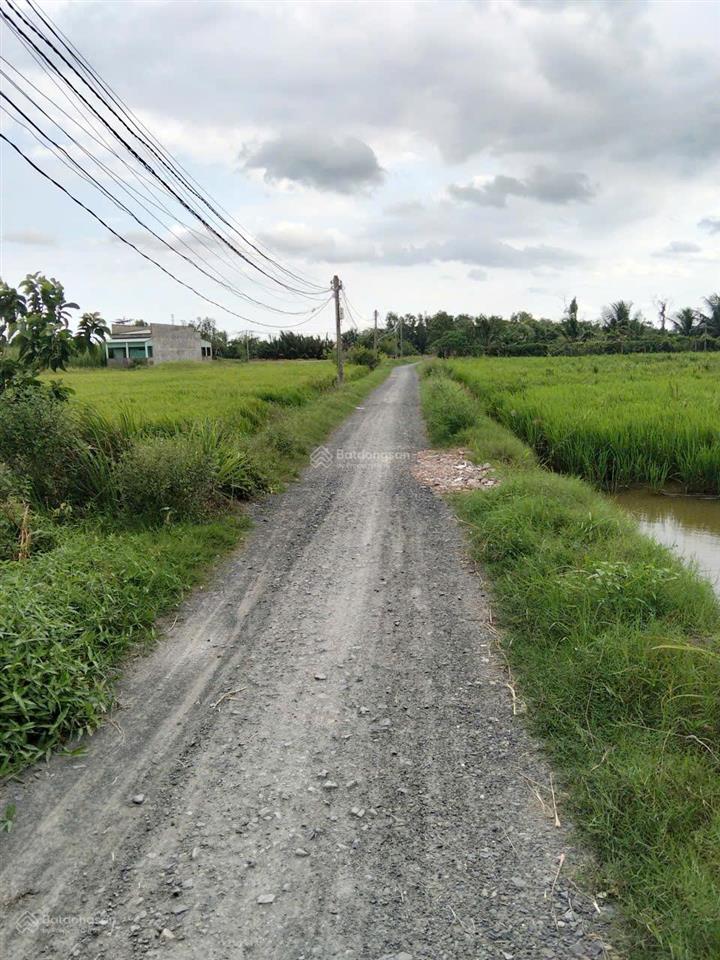 Bán rẻ 107.8m2 đất thổ mặt tiền đường nguyễn văn lãnh, gần chợ đào cách ql50b 150m, 640tr