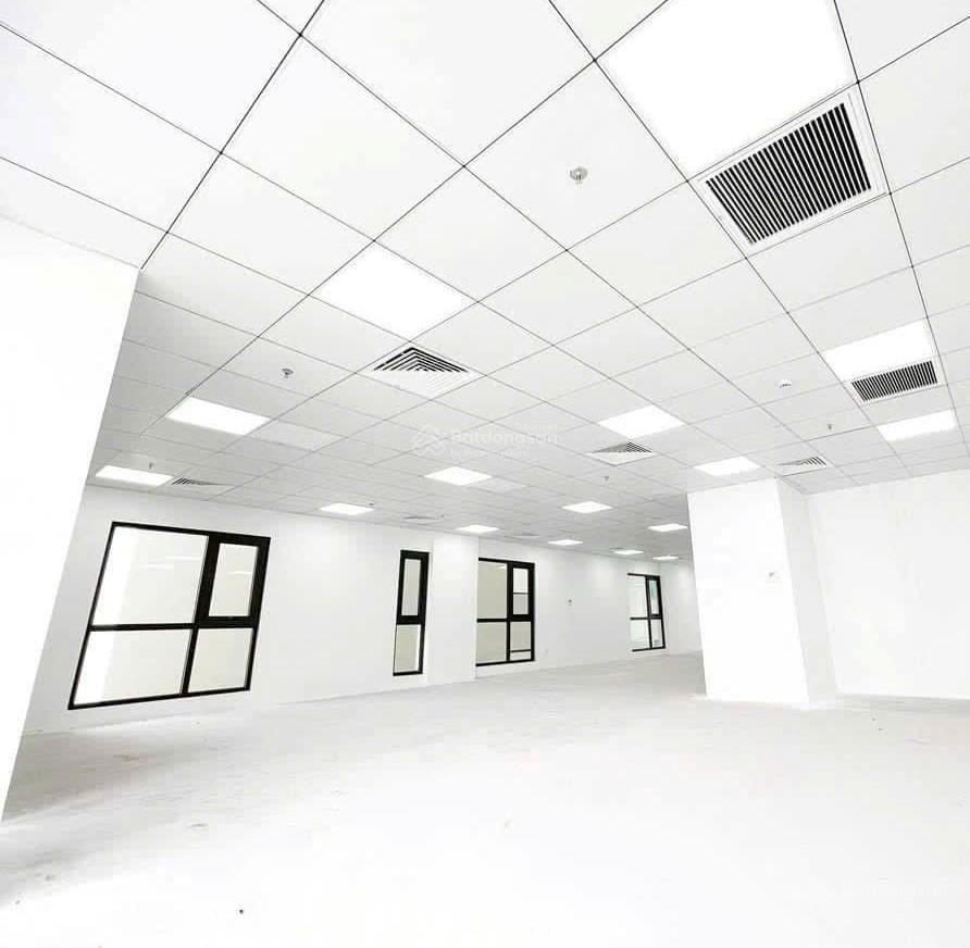 Siêu phẩm tòa nhà 2 mặt tiền trần hưng đạo, quận 1