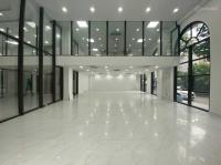 Building mặt tiền hoàng văn thụ, p. 8, q. phú nhuận hầm trệt + 7 lầu + sân thượng. dtsd 1000m2