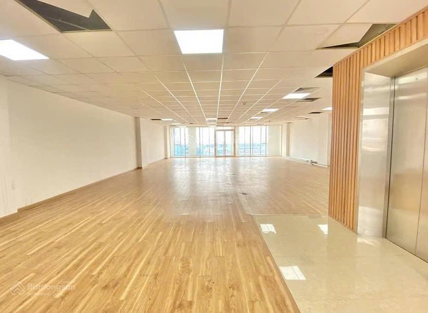 !!mặt tiền nguyễn đình chính quận phú nhuận 12x12 hầm trệt 5 lầu có thang máy pccc