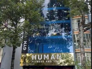 Building hồ văn huê, phú nhuận 7x30m hầm + trệt + lửng + 6 lầu, pccc đầy đủ 150tr/tháng