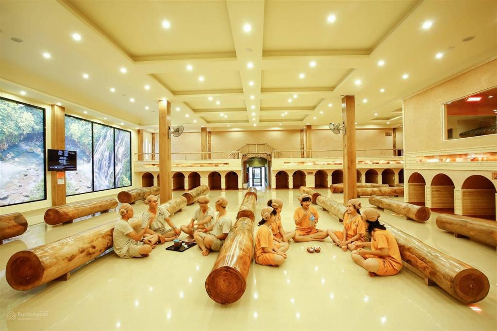 Cho thuê mặt bằng sân vườn 4500m2 mặt tiền phạm ngọc thạch, quận 3