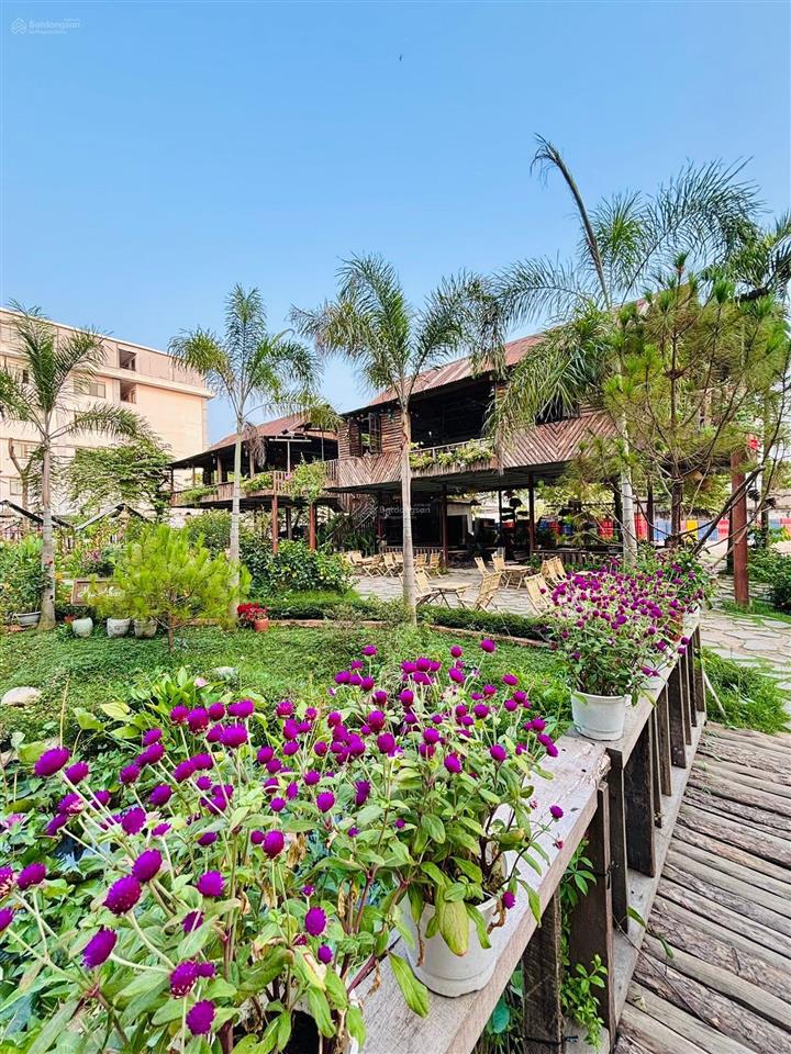 Cho thuê quỹ đất khủng 7000m2, tô ký quận 12, khu tổ hợp f&b