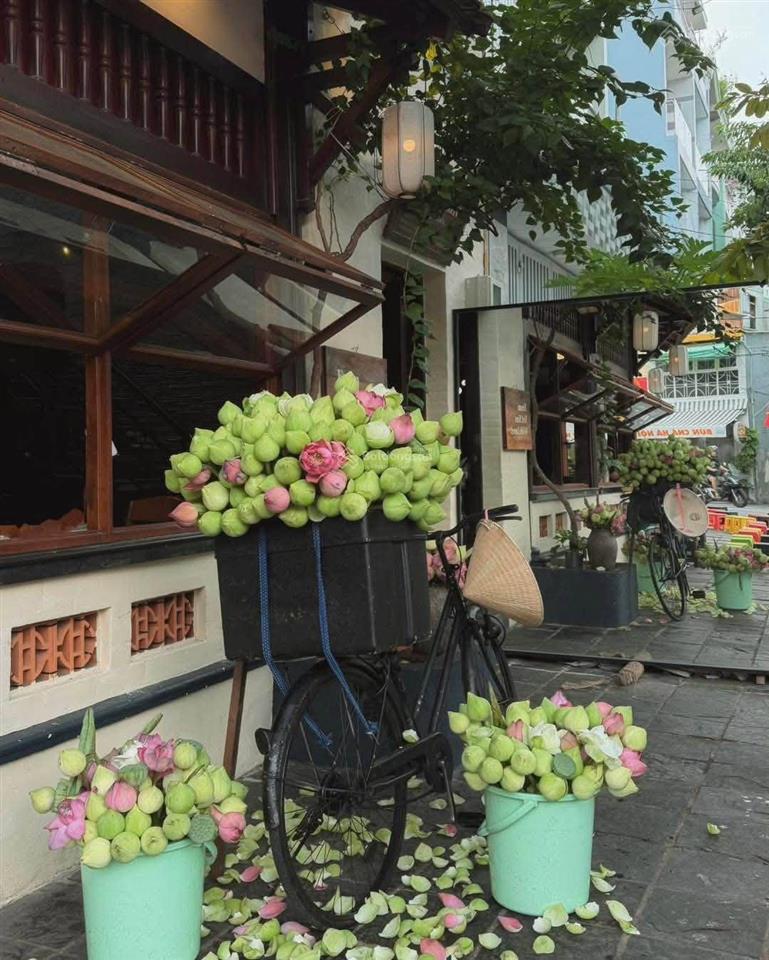 Cho thuê nhà cổ 2 mặt tiền hoa lan phú nhuận, trệt lầu sân thượng, dtsd 400m2