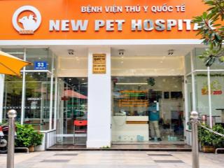 Cho thuê nhà mặt tiền đặng dung  trần nhật duật quận 1, ngang 16m