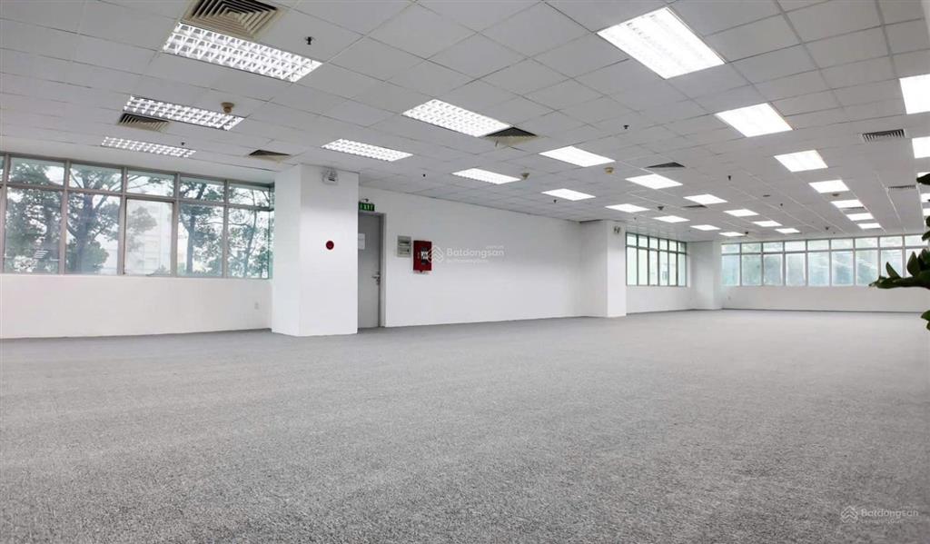 Cho thuê nhà mặt tiền huỳnh thúc kháng gần phố đi bộ nguyễn huệ, quận 1