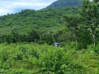 9ha đất rừng, suối tự nhiên, mặt tiền 200m. bình lộc 2  vạn thắng