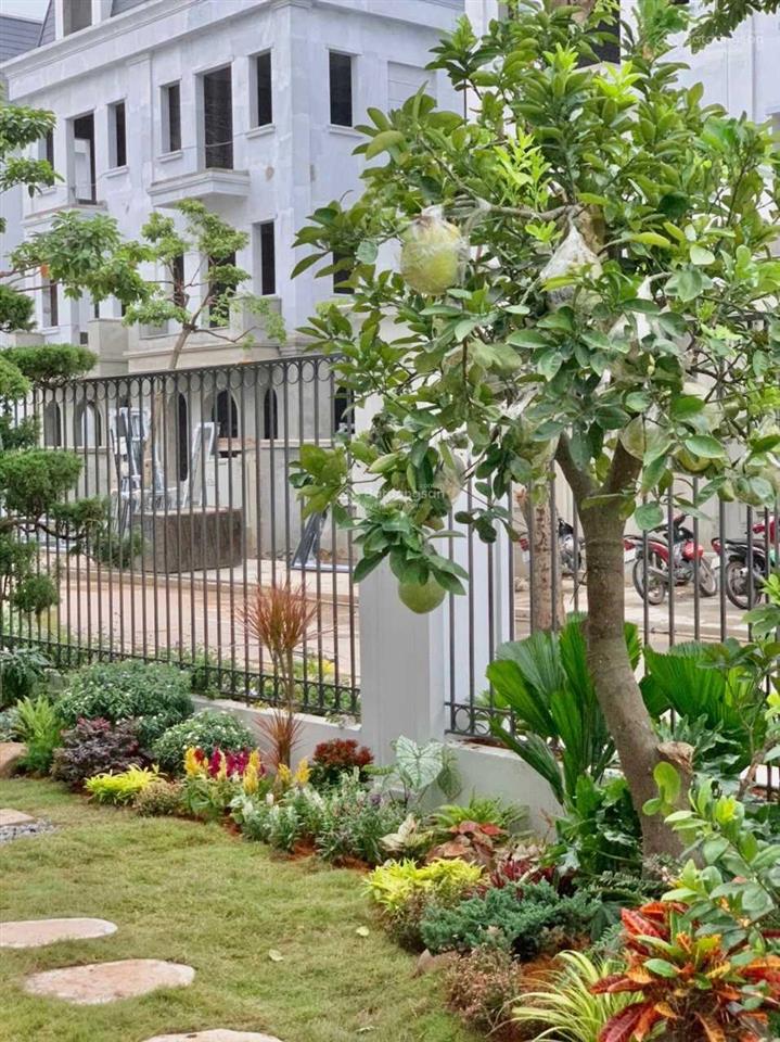 Suất ngoại giao mua trực tiếp chủ đầu tư nam cường, chiết khấu lên đến 19%.  0942 899 ***