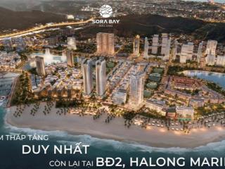 Sở hữu căn nhà ven vịnh mang trong mình giá trị riêng sora bay đẳng cấp trong tầm tay