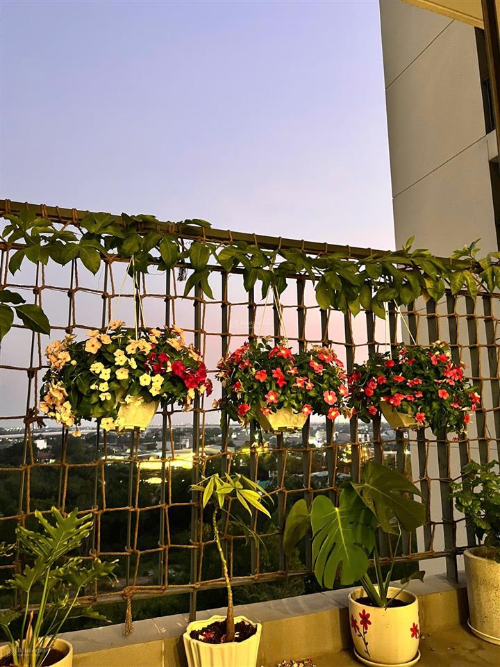 Bán căn hộ 2pn giá tốt hướng đông nam, sẵn sổ  phân khu rainbow vinhomes grand park