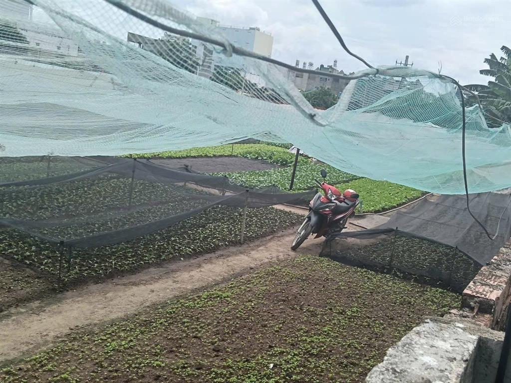 Bán đất tại thới an quận 12, 3901 m2, mặt tiền 49m, q12, tp.hcm