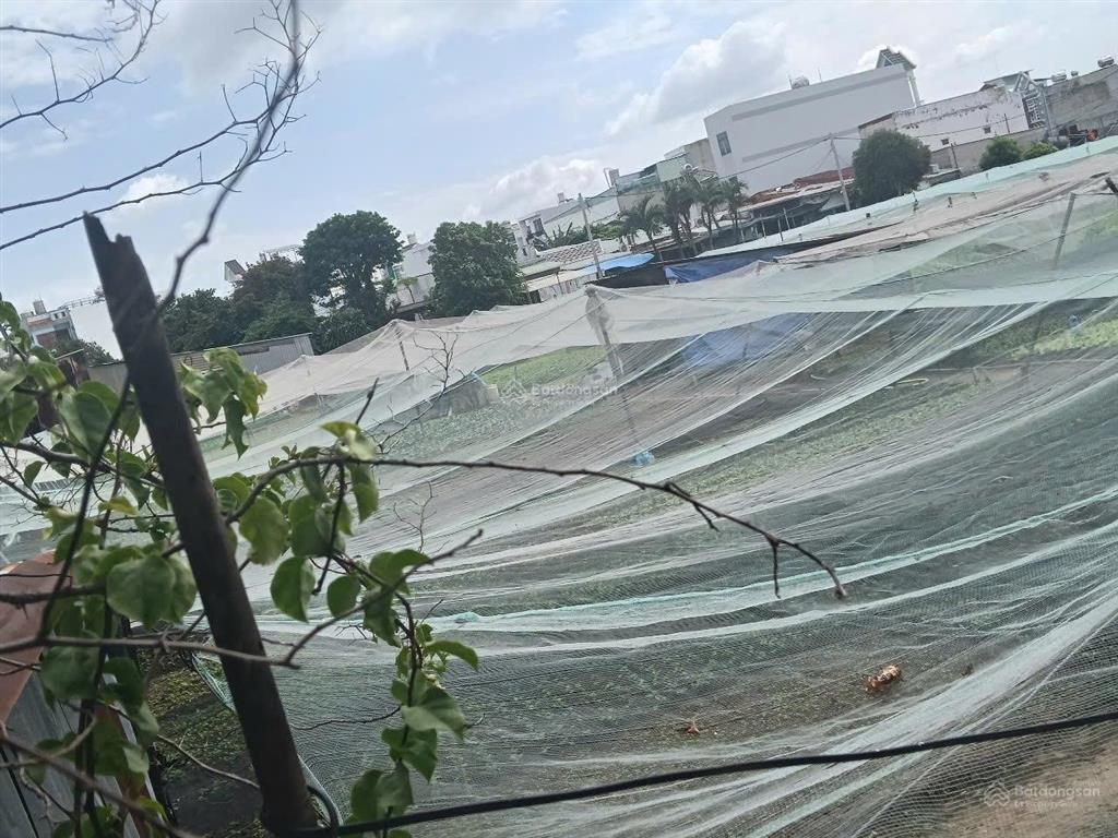 Bán đất tại thới an quận 12, 3901 m2, mặt tiền 49m, q12, tp.hcm