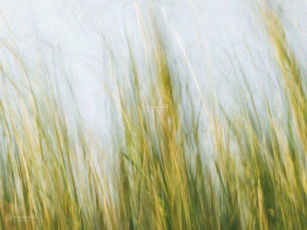 Bán đất 4,2 tỷ, 70m2, đường số 6, bình tân, sổ hồng