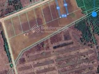 Chính chủ bán 11 thửa đất sông xoài châu pha gía 43 tỷ