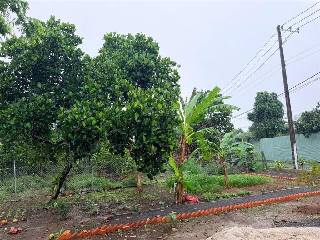 395 triệu bao trọn sổ, có ngân hàng hỗ trợ 50%