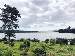 Bán gáp đất và 30 cây sầu riêng thu bói, 2 mặt tiền đường và hồ