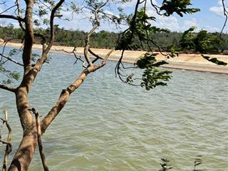 Bán gáp đất cà phê, sầu riêng, 3 mặt tiền đường và hồ