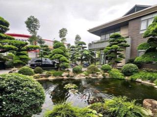 Kđt mạnh hùng, bắc lý nằm trong vùng lõi khu công nghiệp, giá chỉ 1,8 tỷ, sổ đỏ sẵn sàng