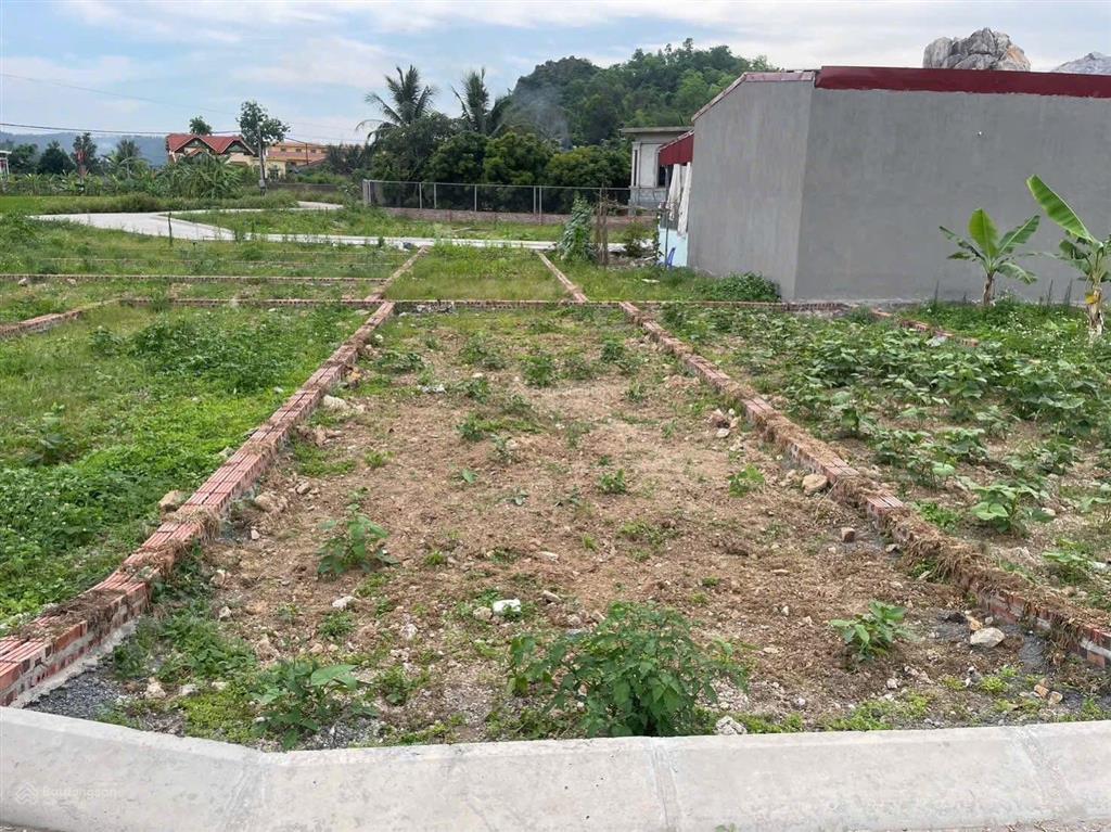 Hiếm có 1 lô đất có giá cực hấp dẫn chỉ 290 triệu dành cho nhà đầu tư tại thủy nguyên