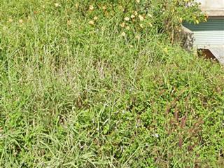 Bán đất tại thống nhất, 2,3 tỷ, 123m2, pháp lý đầy đủ, hàng hiếm tại uy tín