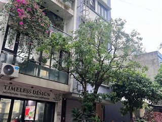 Phân lô ô tô tránh vỉa hè kdt đại kim dt 58m2 mt 4.2m dùng kd  vp cty đều đỉnh