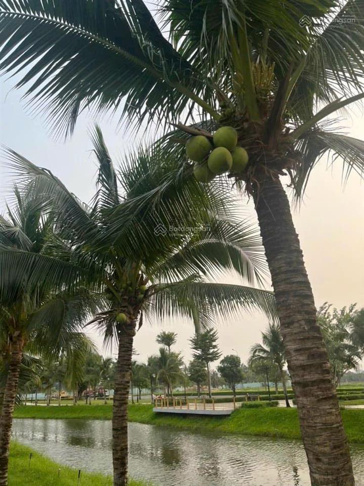 Shophouse mặt tiền đinh thị thi có hầm âm còn lại 1 căn từ cđt vạn phúc, hầm âm+5l tt tiến độ.