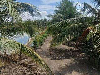 BÁN ĐẤT XÃ BÌNH LỢI - BÌNH CHÁNH, 10.387M2 SẴN 2 SỔ HỒNG CHỈ 2 TỶ/1000M2. LH:0978435476.