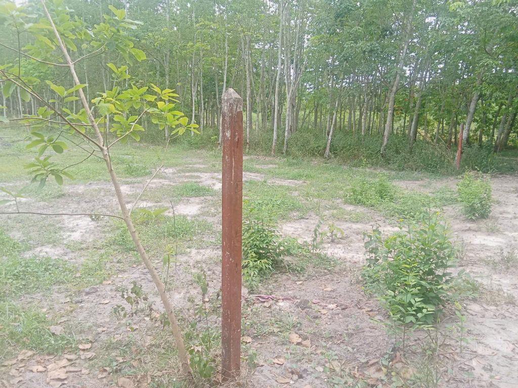 GIẢM GIÁ BÁN GẤP ĐẤT PHÚ MỸ HƯNG, CỦ CHI, TỪ 2.5 TỶ CHỈ CÒN 2.1 TỶ. LH:0918091655.