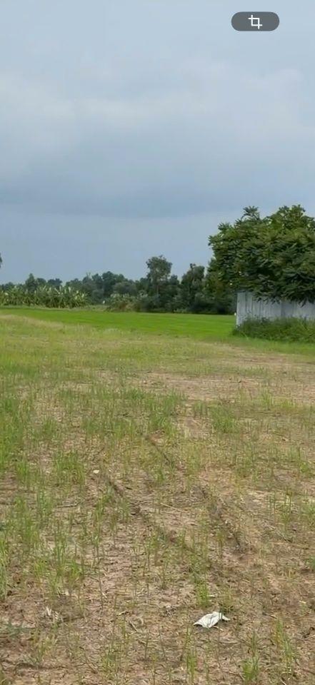 CHO THUÊ 5000M2 MẶT TIỀN QL50 LÀM BÃI XE NHÀ XƯỞNG KHO LẠNH 0901651234