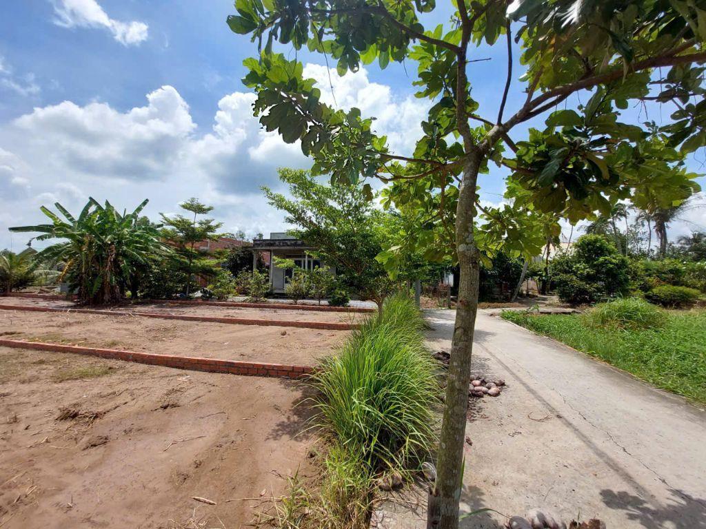 BÁN LÔ ĐẤT THỔ CƯ VỊ TRÍ ĐẸP TẠI ẤP 6 XÃ TÂN TRẠCH, CẦN ĐƯỚC, LONG AN. LH:0903187068.
