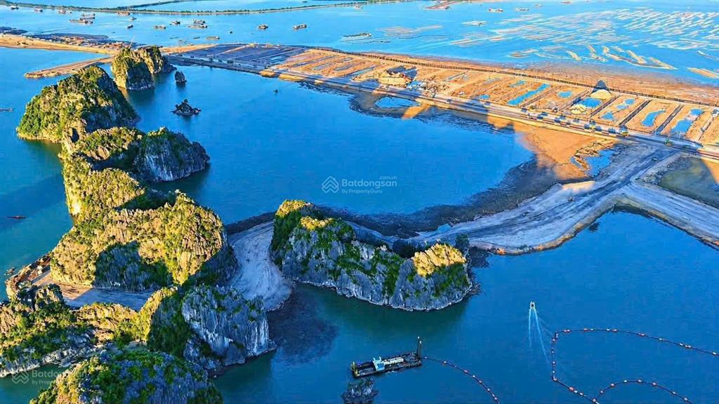 Giảm giá 2,5 tỷ  căn song lập dự án hạ long xanh.