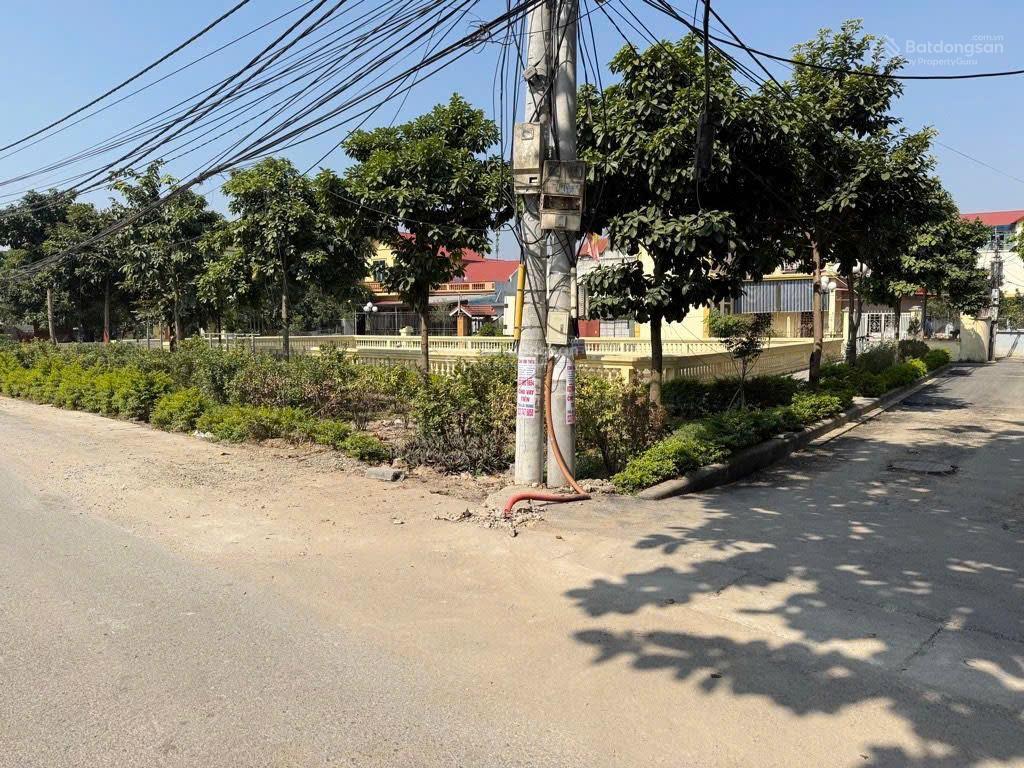 Hàng hiếm đầu tư sinh lời cao, giá hời khu vực, chủ cần bán gấp cắt lỗ 1 tỷ còn 5,5 tỷ