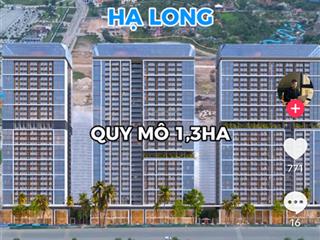 Căn studio giá nhỏ xinh phù hợp để lướt sóng