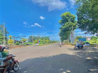 Đất vườn vuông vức tại trung tâm phường bình lộc 5000m2 sổ riêng chợ trường học chỉ vài trăm mét