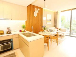 Cho thuê căn hộ daqua, 9 triệu vnd, 71 m2, 2pn, 2wc tại bến bình đông, quận 8, hcm