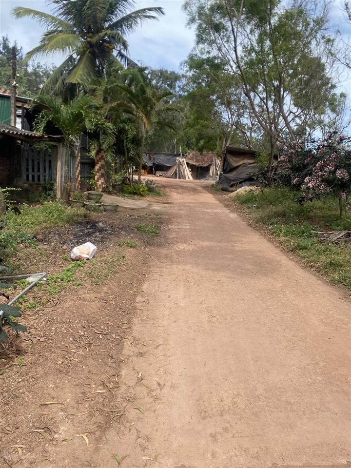 Chủ ngộp ngân hàng cần bán gấp! view biển