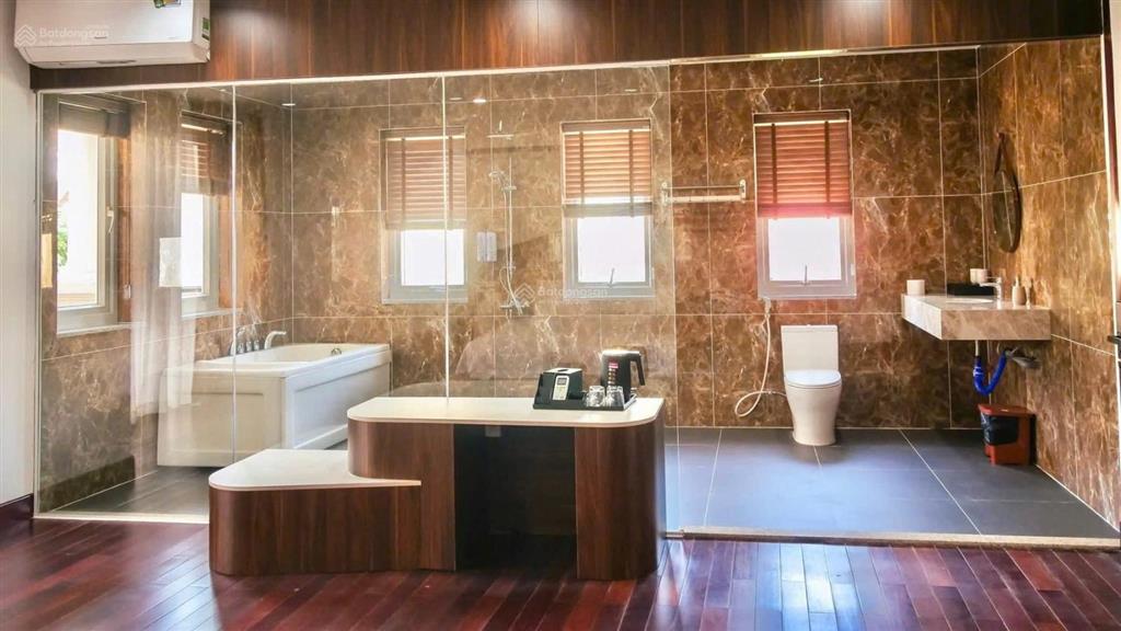 Cho thuê villa cao cấp nhà mới 100% đường vũ tông phan