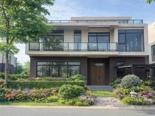 Cho thuê tòa nhà mặt tiền đường hoa lan diện tích 20m x 35m phú nhuận