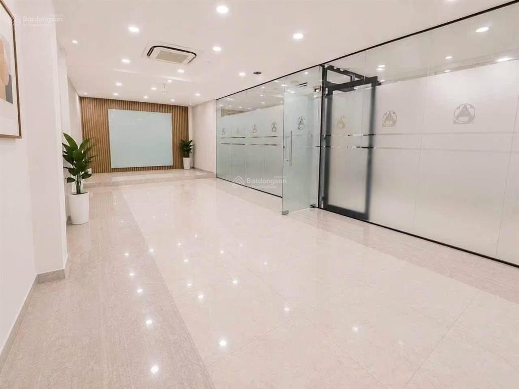 Cho thuê tòa nhà văn phòng mặt tiền trần hưng đạo quận 1