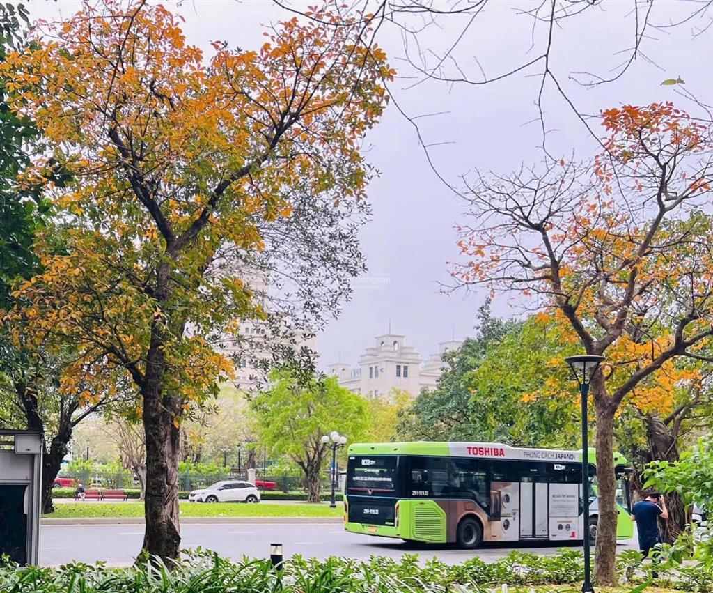 Bán biệt thư song lập đảo ngọc trai, dt 160m2, 4 tầng tổng 377m2 sàn, hướng sông tn, chỉ 33ty9