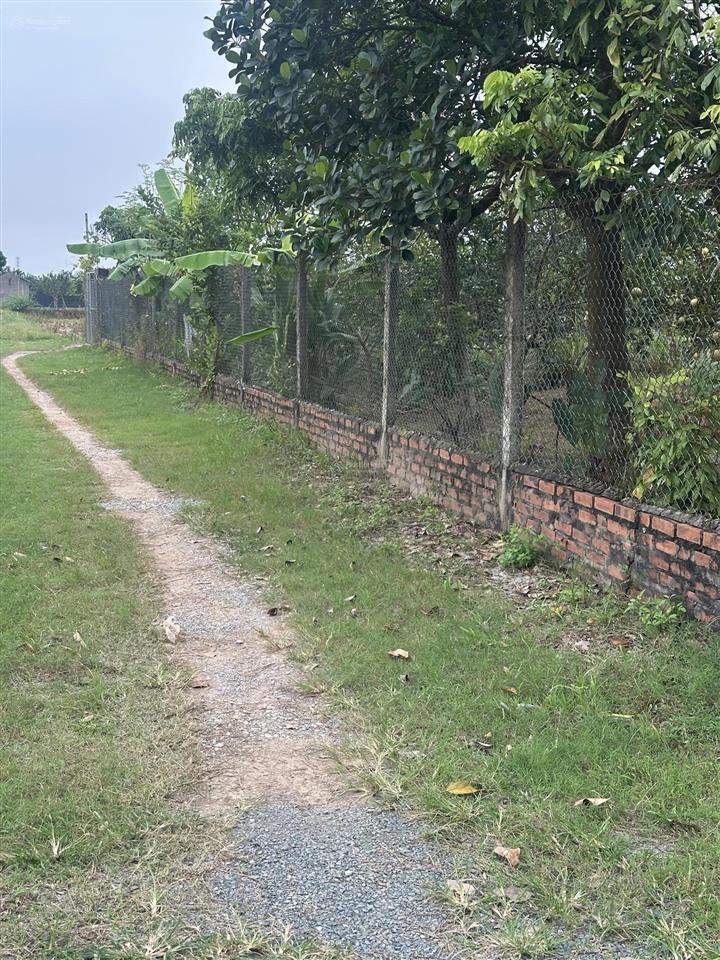 Bán mảnh đất nn thôn tình lam, dt hơn 960m2, mt 14m, đường trước đất 5m. giá ngon bổ 