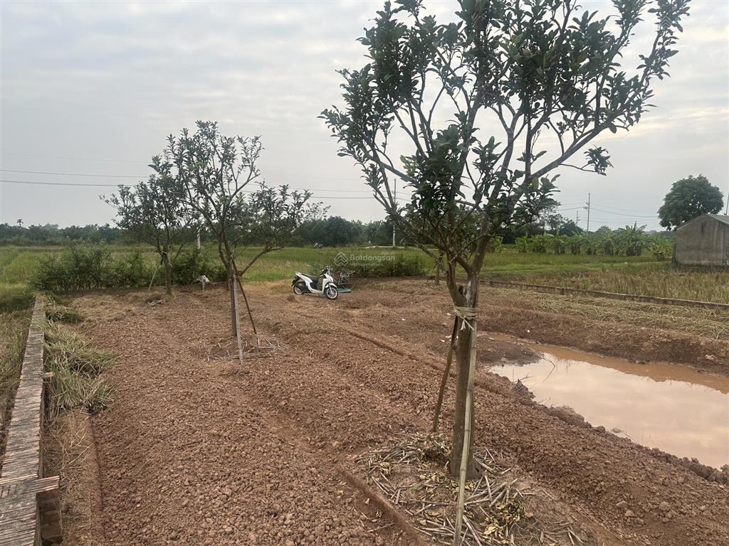 Bán mảnh đất nn thôn tình lam, dt hơn 960m2, mt 14m, đường trước đất 5m. giá ngon bổ 