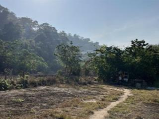 Bán trang trại khu nghỉ dưỡng tại thôn bàu chim, đức thuận, 11048.3 m2, giá thỏa thuận