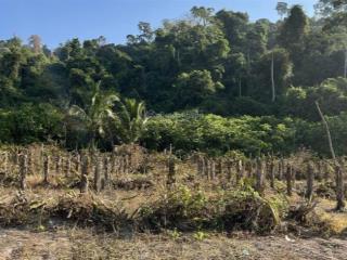 Bán gấp trang trại khu nghỉ dưỡng tại đường thác bà, giá thỏa thuận, 110483m2