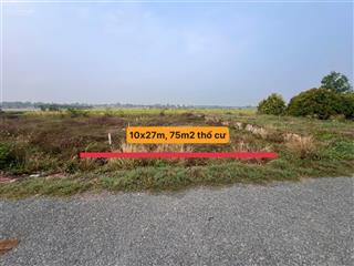 Kp cây trắc phường gia lộc tây ninh (đc củ ấp cây trắc xã phước đông gò dầu tây ninh)