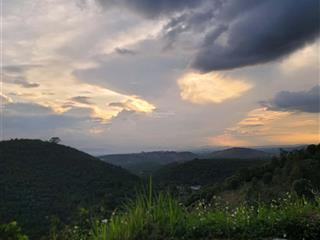 3,4ha 2 ha cafe 400 trụ tiêu, 100 sầu riêng năm 4 đất dốc