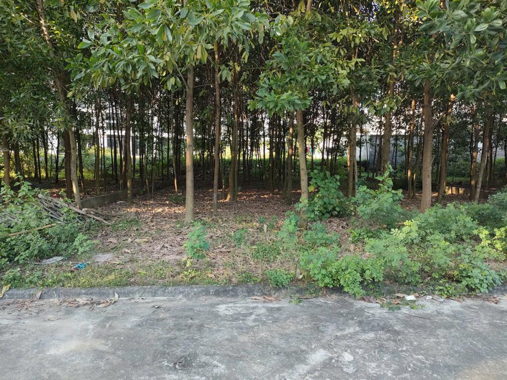 CHÍNH CHỦ BÁN GẤP LÔ ĐẤT CÓ DT: 338,8 m full  THỔ CƯ